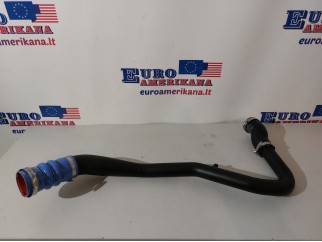 Lower Hose